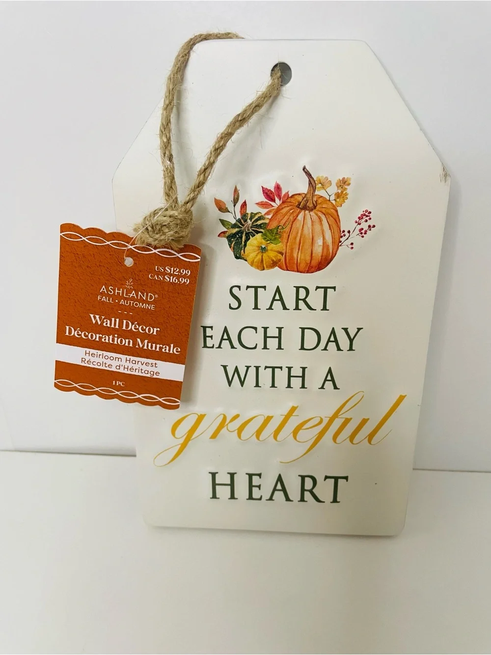 White Metal Tag with Orange Pumpkin, Fall wall decor, Thanksgiving Pumpkin Decor